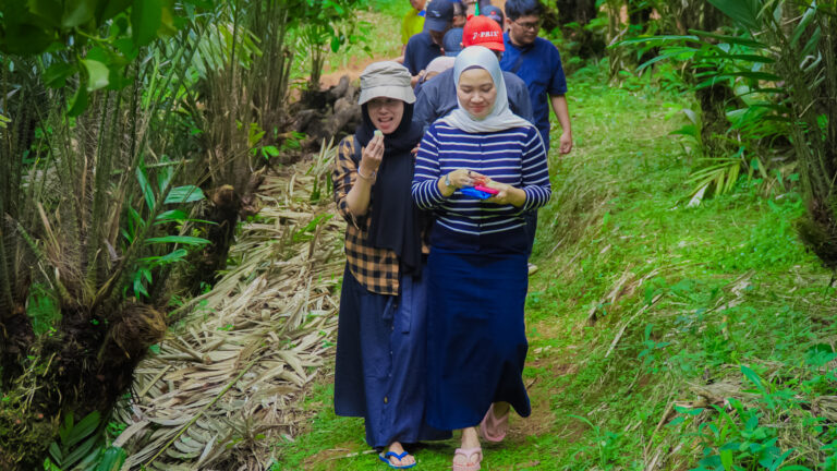 Serunya Petik Buah di Kebun Manggis Darangdan